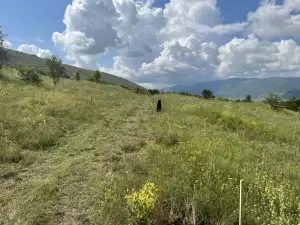 Δήμος Κοζάνης: Δενδροφύτευση στα Αλωνάκια σε συνεργασία με το Μη Κερδοσκοπικό Οργανισμό We4all και την εταιρεία ΜΕΓΑ