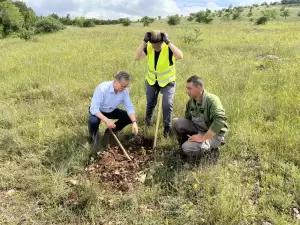 Δήμος Κοζάνης: Δενδροφύτευση στα Αλωνάκια σε συνεργασία με το Μη Κερδοσκοπικό Οργανισμό We4all και την εταιρεία ΜΕΓΑ