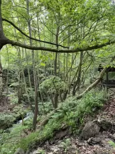 Η φυσική ομορφιά του τόπου τείνει απίστευτα στο τέλειο…