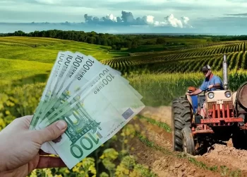 Βιολογική Γεωργία: Πώς Θα Ενισχυθούν Οι Παραγωγοί Ανά Καλλιέργεια