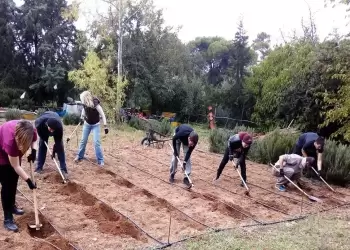 Αγροτικά ΙΕΚ: Τα 6 ΔΙΕΚ του ΕΛΓΟ – Δήμητρα με τις 7 ειδικότητες