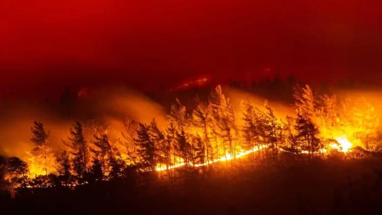 Δασικές Πυρκαγιές: Κάθε Χρόνο Τα Ίδια