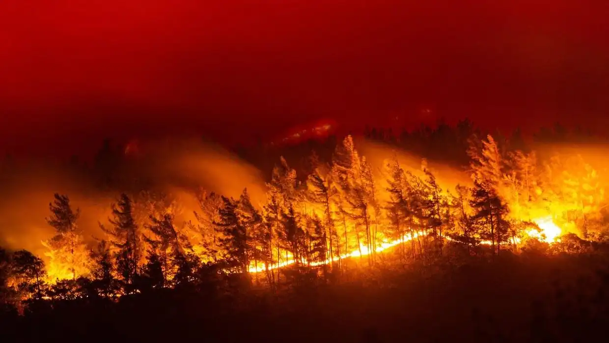 Δασικές Πυρκαγιές: Κάθε χρόνο τα ίδια