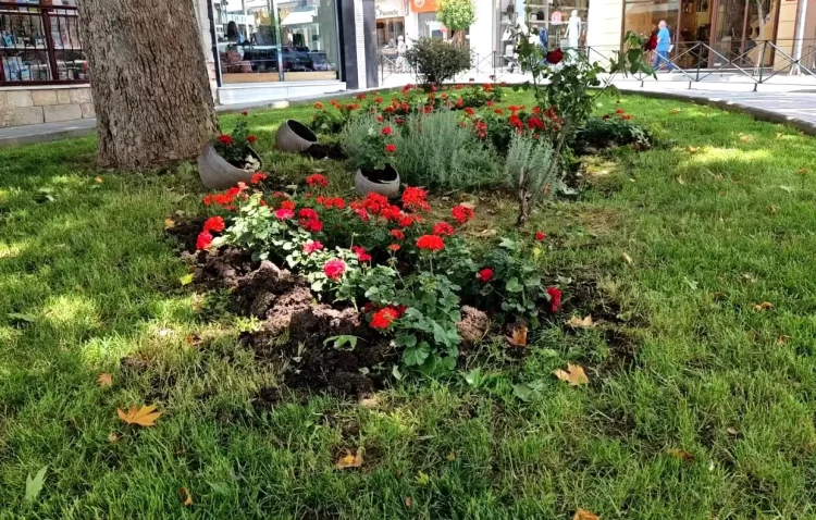 Δήμος Κοζάνης: Καλλωπίζουμε Την Πόλη Μας Με Εποχικά Λουλούδια