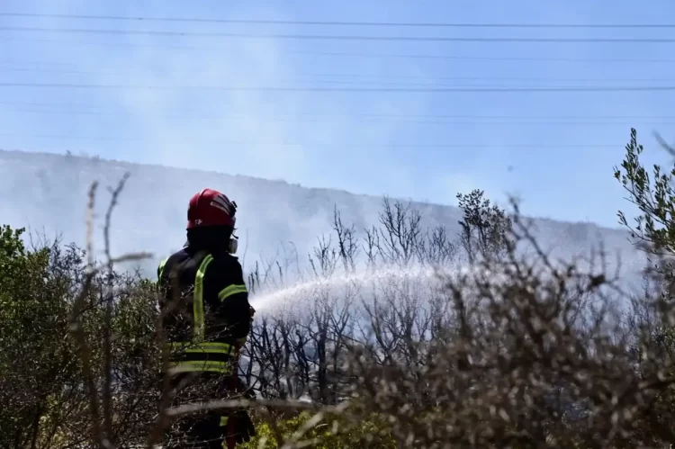 Καταστροφικές Πυρκαγιές Προκαλεί Ο Καύσωνας Στη Νότια Ευρώπη