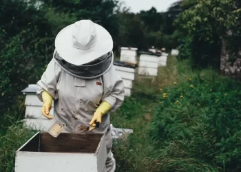 Λευτέρης Αυγενάκης: “Γνωρίζω Τα Προβλήματα Των Μελισσοκόμων“