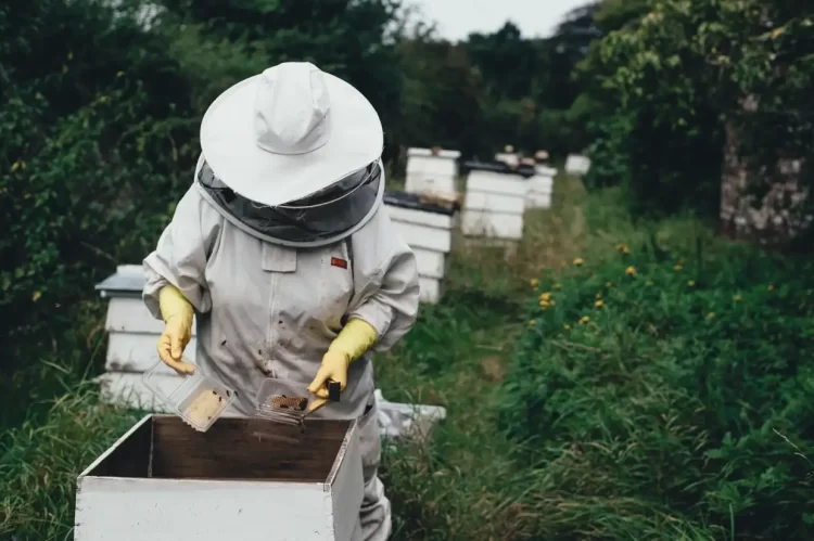 Λευτέρης Αυγενάκης: “Γνωρίζω Τα Προβλήματα Των Μελισσοκόμων“
