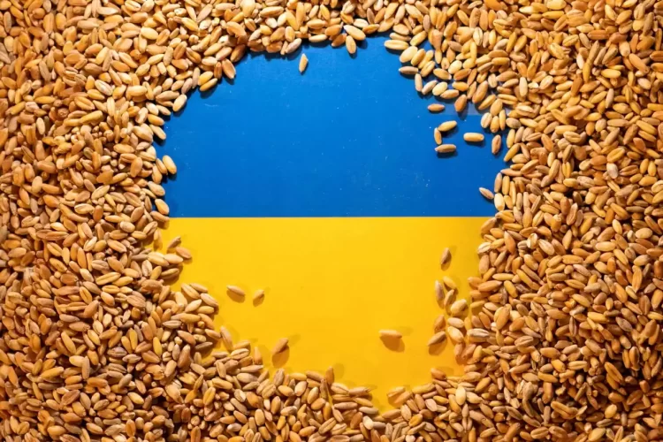 Ουκρανία: Τέλος Στη Συμφωνία Για Τα Σιτηρά Από Σήμερα – Έκκληση Να Ξαναρχίσουν Οι Εξαγωγές
