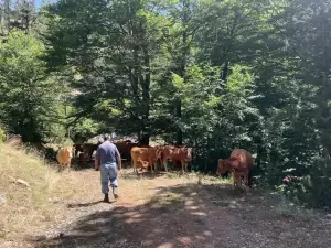 Βελτίωση προσβασιμότητας στη Βάλια Κάλντα