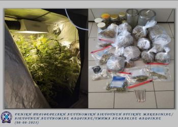 Φλώρινα: Εντοπίστηκε οργανωμένο σύστημα εσωτερικής καλλιέργειας κάνναβης σε οικία