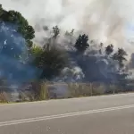 Φωτιά στην Νέα Νικόπολη Κοζάνης