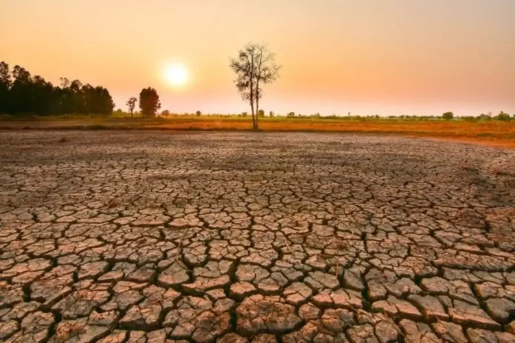 Το 2023 Η Θερμότερη Χρονιά Στην Ιστορία – Οι Τρεις Τελευταίοι Μήνες Οι Θερμότεροι Εδώ Και 120.000 Χρόνια
