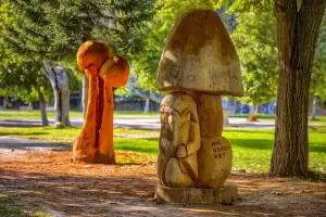 Δήμος Γρεβενών: «Ταξιδεύω Γρεβενά» – Στην Πανελλήνια Γιορτή Μανιταριού (Βίντεο+Φωτογραφίες)