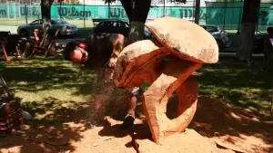 Δήμος Γρεβενών: «Ταξιδεύω Γρεβενά» – Στην Πανελλήνια Γιορτή Μανιταριού (Βίντεο+Φωτογραφίες)