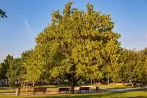 Δήμος Γρεβενών: «Ταξιδεύω Γρεβενά» – Στην Πανελλήνια Γιορτή Μανιταριού (Βίντεο+Φωτογραφίες)