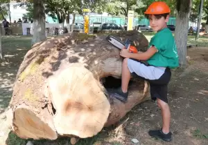 Δήμος Γρεβενών: «Ταξιδεύω Γρεβενά» – Στην Πανελλήνια Γιορτή Μανιταριού (Βίντεο+Φωτογραφίες)