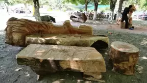 Δήμος Γρεβενών: «Ταξιδεύω Γρεβενά» – Στην Πανελλήνια Γιορτή Μανιταριού (Βίντεο+Φωτογραφίες)