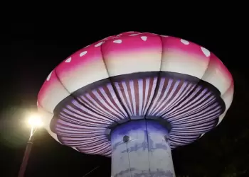 Δήμος Γρεβενών: «Ταξιδεύω Γρεβενά» – Στην Πανελλήνια Γιορτή Μανιταριού (Βίντεο+Φωτογραφίες)