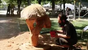 Δήμος Γρεβενών: «Ταξιδεύω Γρεβενά» – Στην Πανελλήνια Γιορτή Μανιταριού (Βίντεο+Φωτογραφίες)