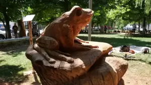 Δήμος Γρεβενών: «Ταξιδεύω Γρεβενά» – Στην Πανελλήνια Γιορτή Μανιταριού (Βίντεο+Φωτογραφίες)