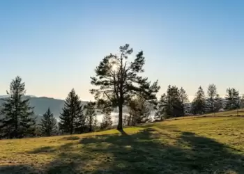 Ο Καιρός σήμερα, Πέμπτη 05/10, στην Κοζάνη και δυτική Μακεδονία: Γενικά αίθριος με αραιές νεφώσεις