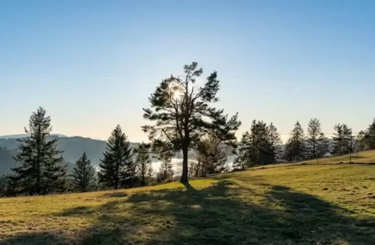 Ο Καιρός σήμερα, Πέμπτη 05/10, στην Κοζάνη και δυτική Μακεδονία: Γενικά αίθριος με αραιές νεφώσεις