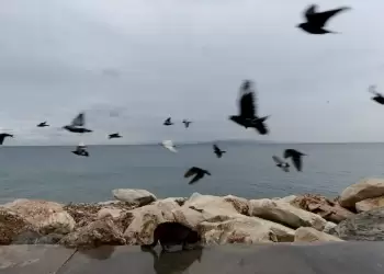 Ο Καιρός στην Κοζάνη και την δυτική Μακεδονία σήμερα, Κυριακή 26/11: Συννεφιά με τοπικές βροχές και χιονοπτώσεις στα ορεινά