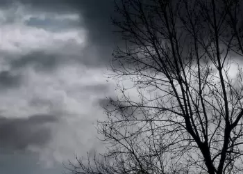 Ο Καιρός στην Κοζάνη και την Δυτική Μακεδονία σήμερα, Παρασκευή 24/11: Αυξημένες νεφώσεις με τοπικές βροχές