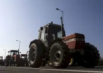Πανελλαδική κινητοποίηση ελαιοπαραγωγών – Ζητούν αποζημίωση  200 ευρώ ανά στρέμμα λόγω ακαρπίας