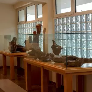 Στα ίχνη των ελεφάντων της Δυτικής Μακεδονίας