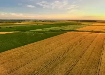 12ο Δελτίο Τιμών Αγροτικών Προϊόντων της Τράπεζας Πειραιώς