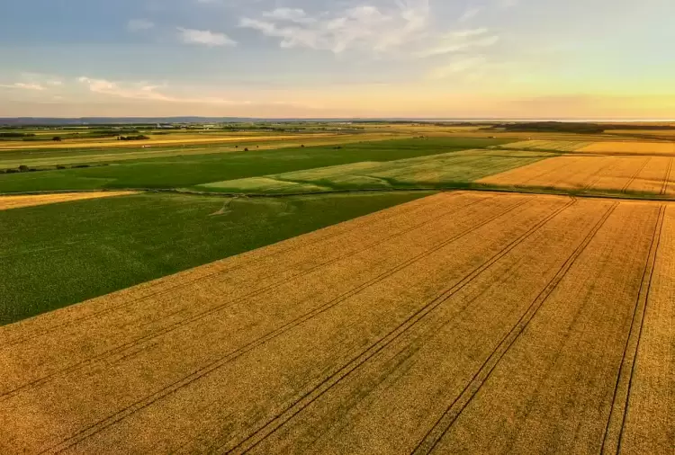 12ο Δελτίο Τιμών Αγροτικών Προϊόντων της Τράπεζας Πειραιώς