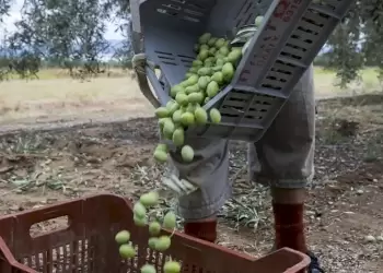 Διαχρονικά άλυτο το πρόβλημα της έλλειψης εργατών γης