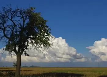 Ο Καιρός στην Κοζάνη και την δυτική Μακεδονία σήμερα, Παρασκευή 29/12: Σχεδόν αίθριος με λίγες τοπικές νεφώσεις