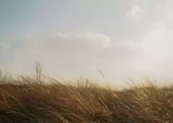 Ο Καιρός στην Κοζάνη και την δυτική Μακεδονία σήμερα, Σάββατο 02/12: Αραιή συννεφιά και νοτιάδες