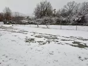 Κοζάνη: Χιονόπτωση αυτή την ώρα στην πόλη