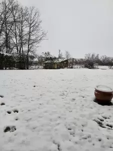 Κοζάνη: Χιονόπτωση αυτή την ώρα στην πόλη