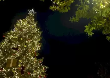 Πότε κλείνουν τα σχολεία για τις γιορτές των Χριστουγέννων – Οι σχολικές αργίες του 2024