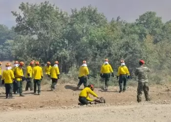 Προσλήψεις 650 δασοκομάντος στην Πυροσβεστική