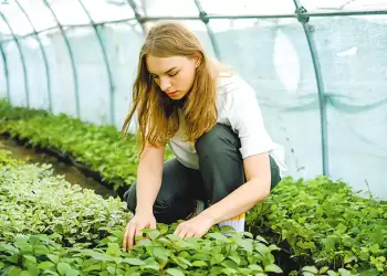 Στήριξη σε νέους που θέλουν να επενδύσουν στην παραγωγή