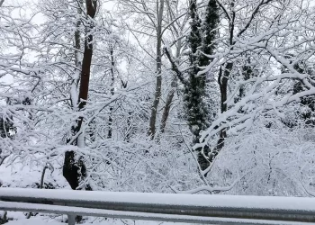 Καιρός: Έρχεται Χιονιάς Με Θυελλώδεις Βοριάδες Και Κρύο – Ποιες Περιοχές Θα «Ντυθούν» Στα Λευκά