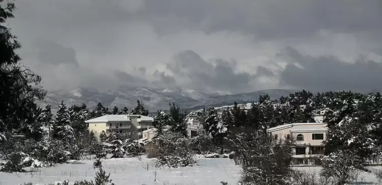 Ο Καιρός στην Κοζάνη και την δυτική Μακεδονία σήμερα, Παρασκευή 12/1: Αίθριος με τοπικές νεφώσεις Ο Καιρός στην Κοζάνη και την δυτική Μακεδονία σήμερα, Παρασκευή 12/1: Αίθριος με τοπικές νεφώσεις