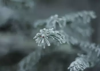 Ο Καιρός στην Κοζάνη και την δυτική Μακεδονία σήμερα, Σάββατο 20/1: Συννεφιά με τοπικές βροχές και βαθμιαία σποραδικές καταιγίδες