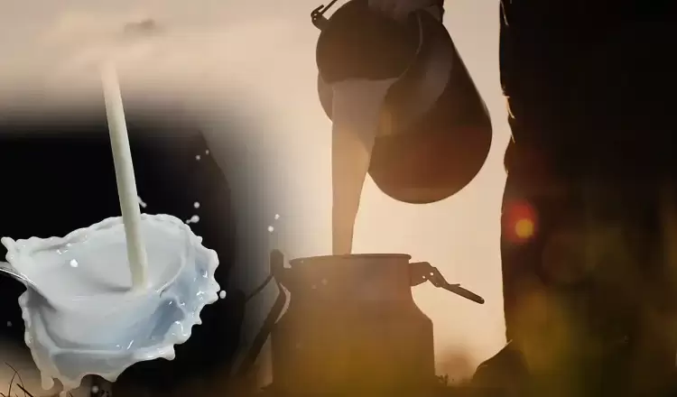 Με την πλάτη στον τοίχο οι κτηνοτρόφοι – Υποχωρούν οι τιμές στο αιγοπρόβειο 