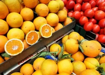 Σπάνε Κάθε Ρεκόρ Οι Εξαγωγές Φρούτων Και Λαχανικών  Το 2023