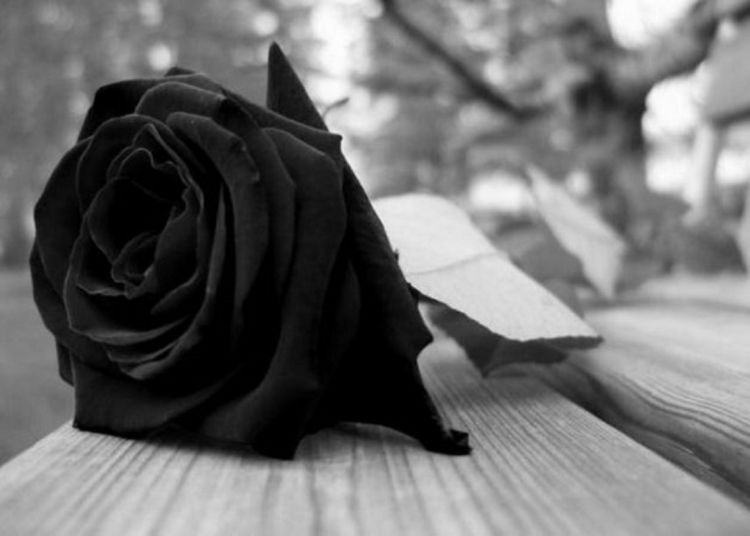 Συλλυπητήριο Μήνυμα για την Άννα Μαλούτα