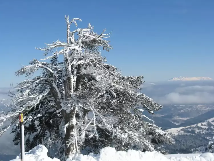 Ο Ε.Ο.Σ. Κozάνης διοργανώνει την Κυριακή 10.3.2024 ορειβατική διάσχιση από το Χ/Κ Βασιλίτσας στην Αβδέλλα