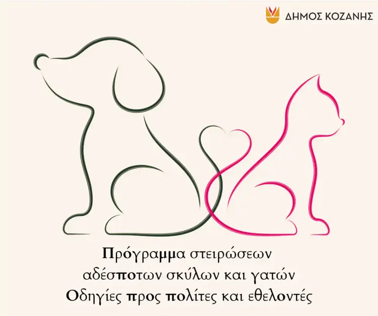Δήμος Κοζάνης: Πρόγραμμα Στειρώσεων Αδέσποτων Σκύλων Και Γατών