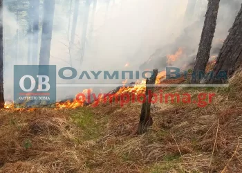 Φωτιά Στα Πιέρια Όρη: Μάχη Με Τις Φλόγες Για Τρίτη Ημέρα – Κατευθύνεται Σε Κοζάνη