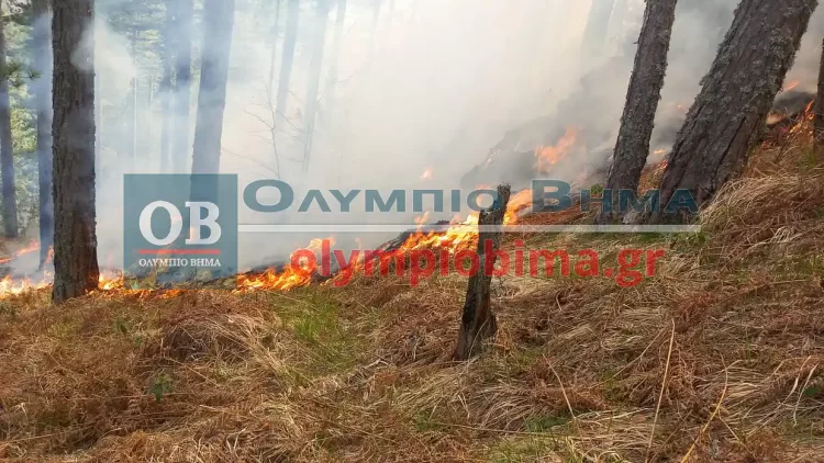 Φωτιά Στα Πιέρια Όρη: Μάχη Με Τις Φλόγες Για Τρίτη Ημέρα – Κατευθύνεται Σε Κοζάνη